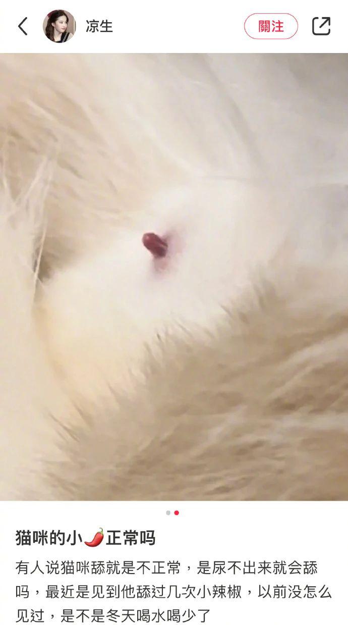 Q0D2N6IwziuZUiDd.jpg Q0D2N6IwziuZUiDd.jpg
