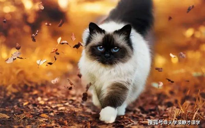 qo2POmCEW95Yi22r.jpg