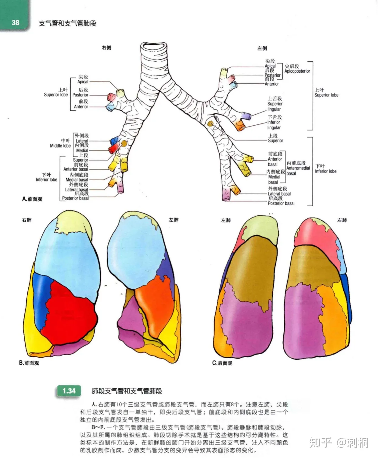 v2-5eca897e1c32bf0a972f1ab7afb6f67b_1440w.webp