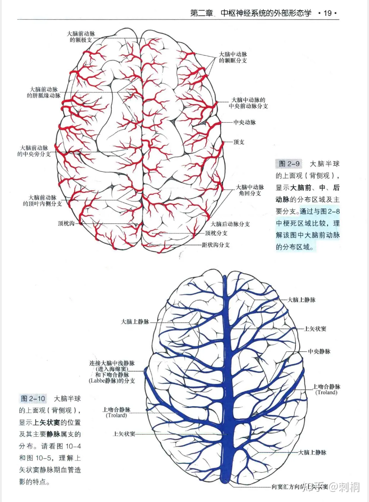 v2-20c7ec006c8aeefd3db8b008d40f5301_1440w.webp