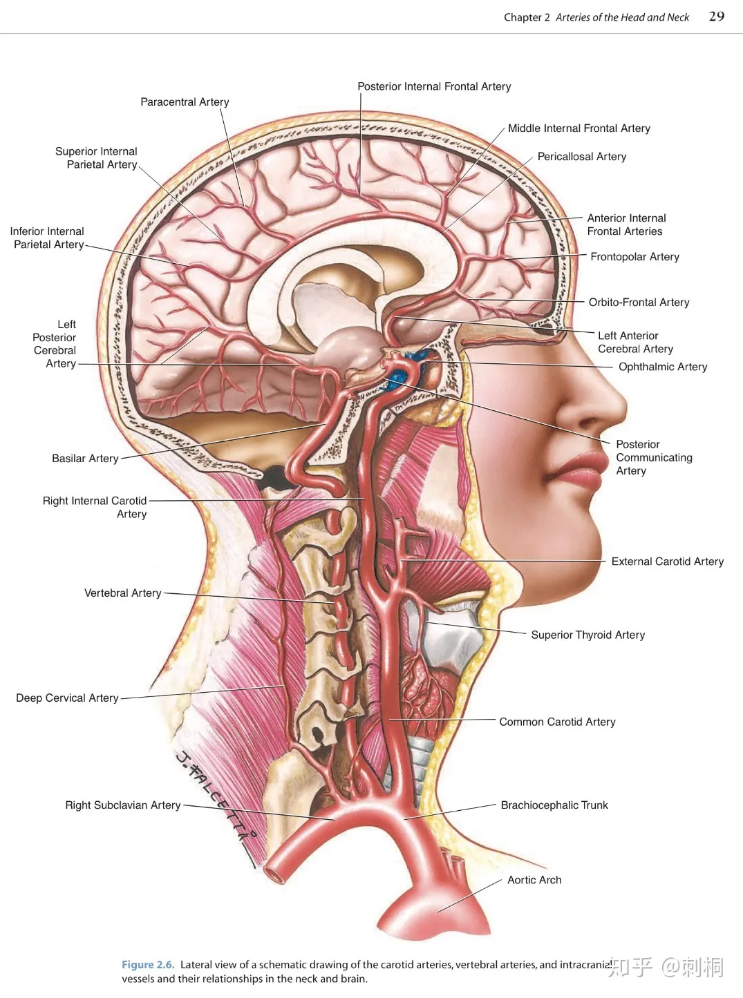 v2-8464d3bafa9a180ec8e3d2039d13b3e1_1440w.webp