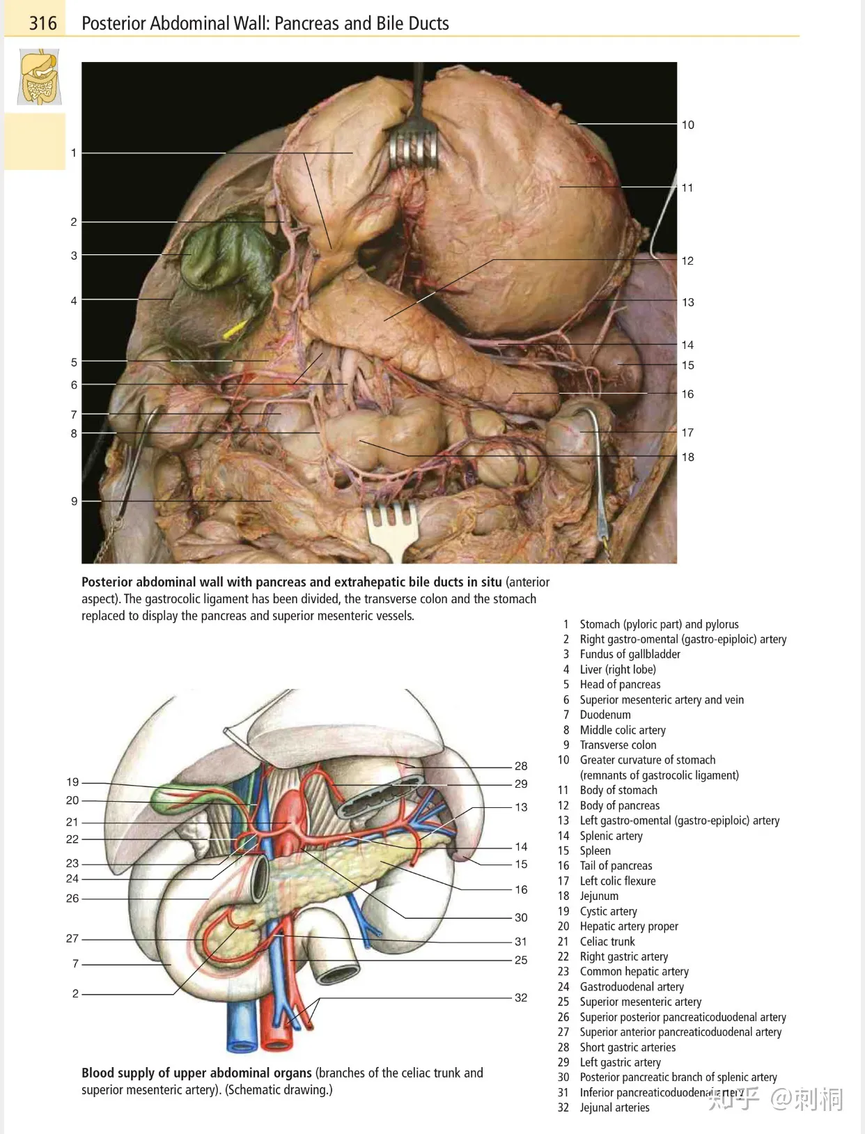 v2-8a4950acecd62bd2d19601ac6dc629e8_1440w.webp