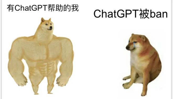 JDFuuoXFOZoT1uFS.jpg