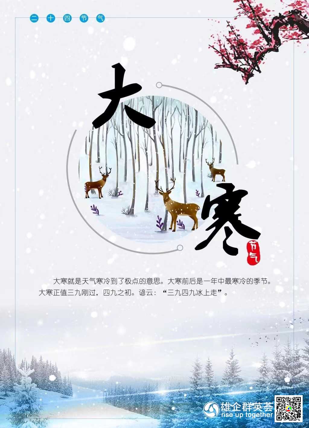 大寒海报.png