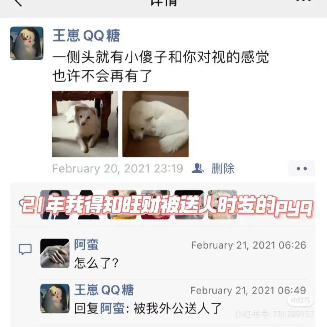 D7AAAwQ5I5aPQ7Ei.jpg