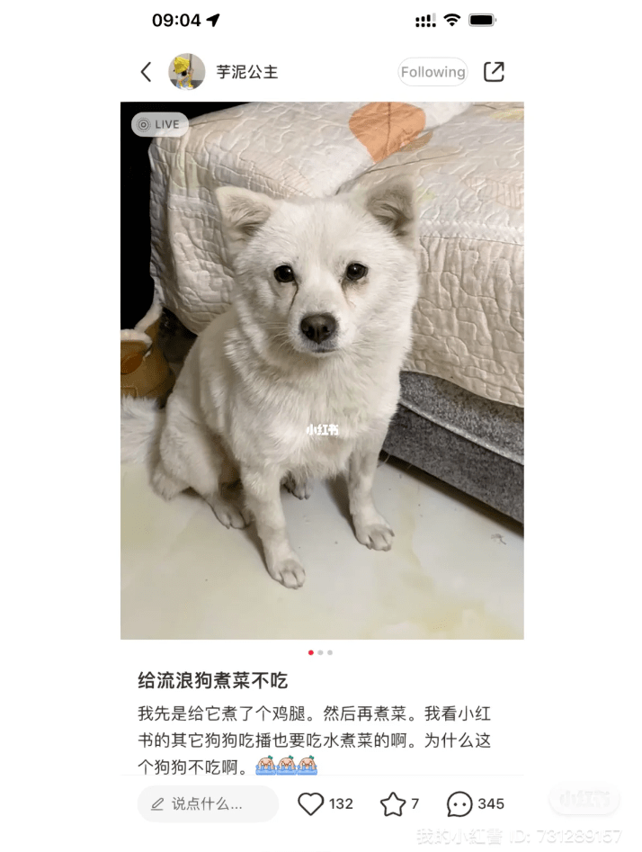 j41m482244r5RM21.jpg