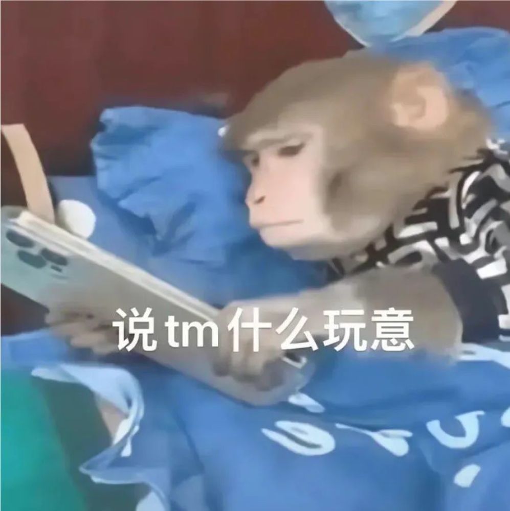 t1GZhqRRqt41HURU.jpg