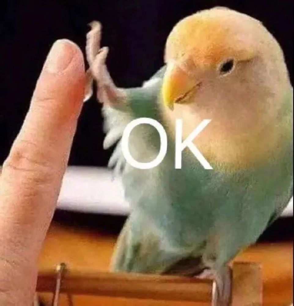 pBM9Q6PM0VRDw9nM.jpg