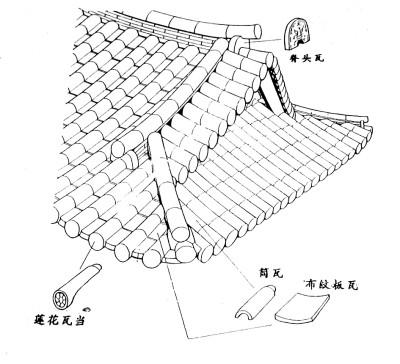 LHi5R55aK5m9oDdH.jpg