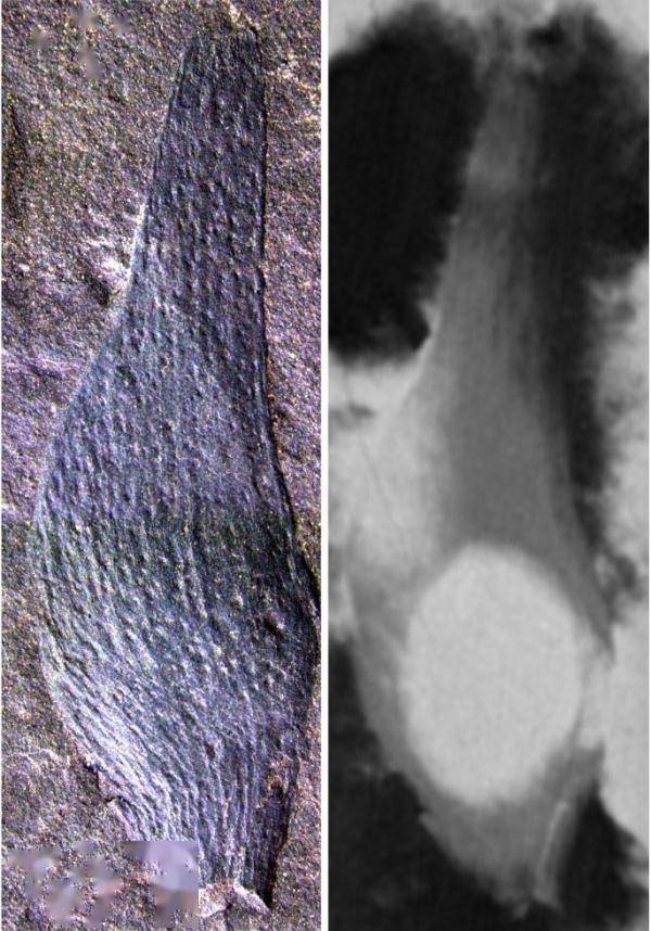 dP740QGpiV70D5DO.jpg