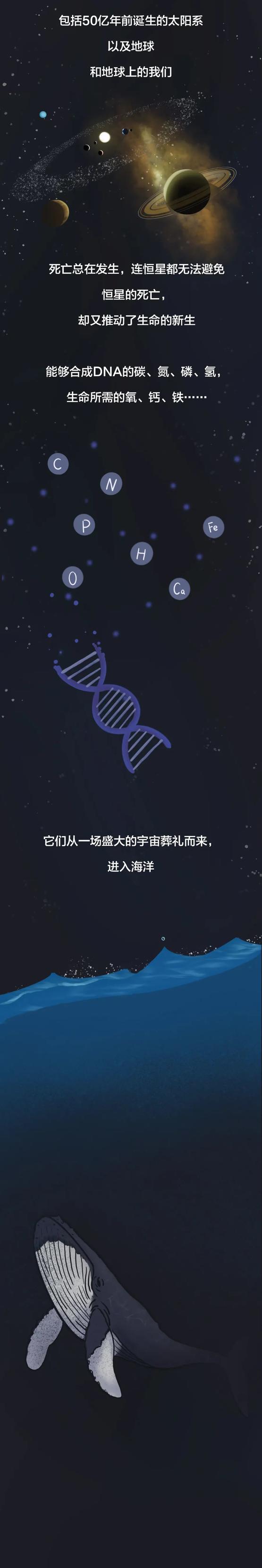s8P12tD11738fdn1.jpg
