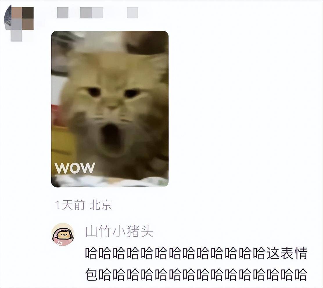 N6VpZMN6aMam6cr6.jpg