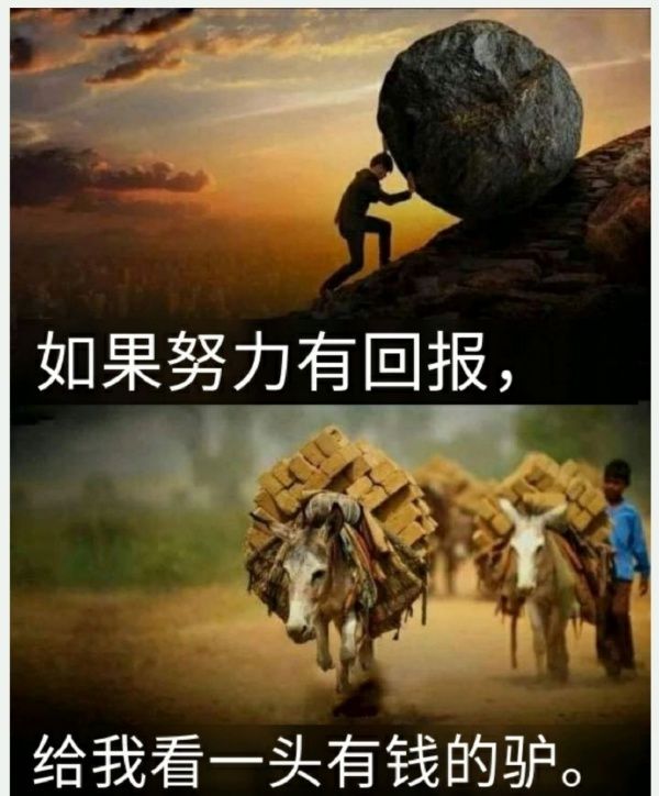 QVKmMYiBX5bGnVgU.jpg