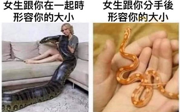 qJojAypj2QbpGB53.jpg