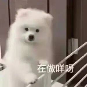 WME2llDhOEzXGj0Z.jpg