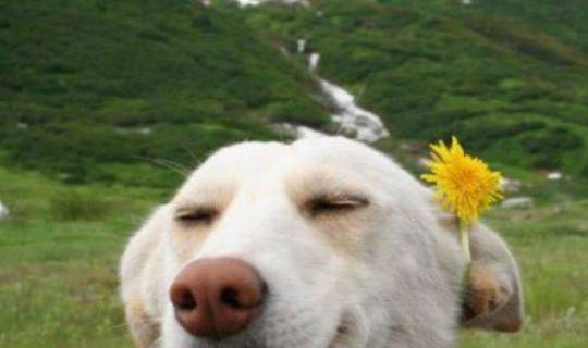 LI4u6IiiWmAny6WM.jpg