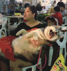 MiHICnqIpZIUNTRZ.jpg