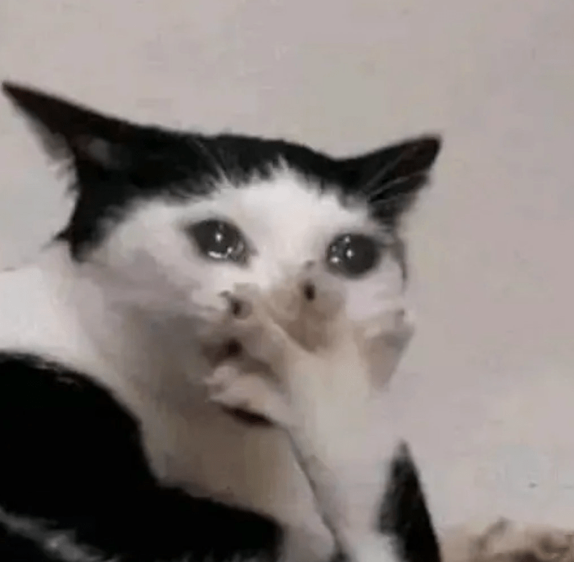 bbA9pCy88hB0Ys8v.jpg