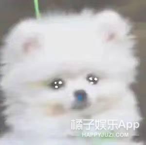 GC9M9AoL9A1LjaoI.jpg