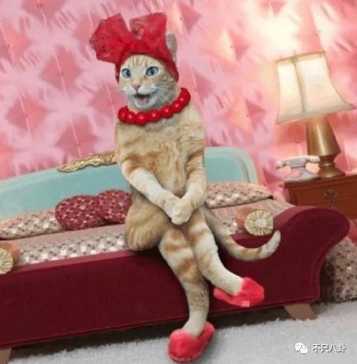is23S8wyC4qCNdjq.jpg