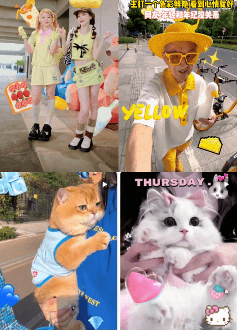 kMDGP33DM8O3aZDq.jpg