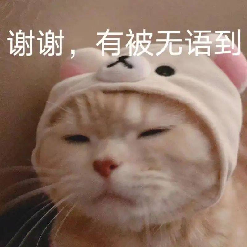 IqEVtTcS5t264eLL.jpg