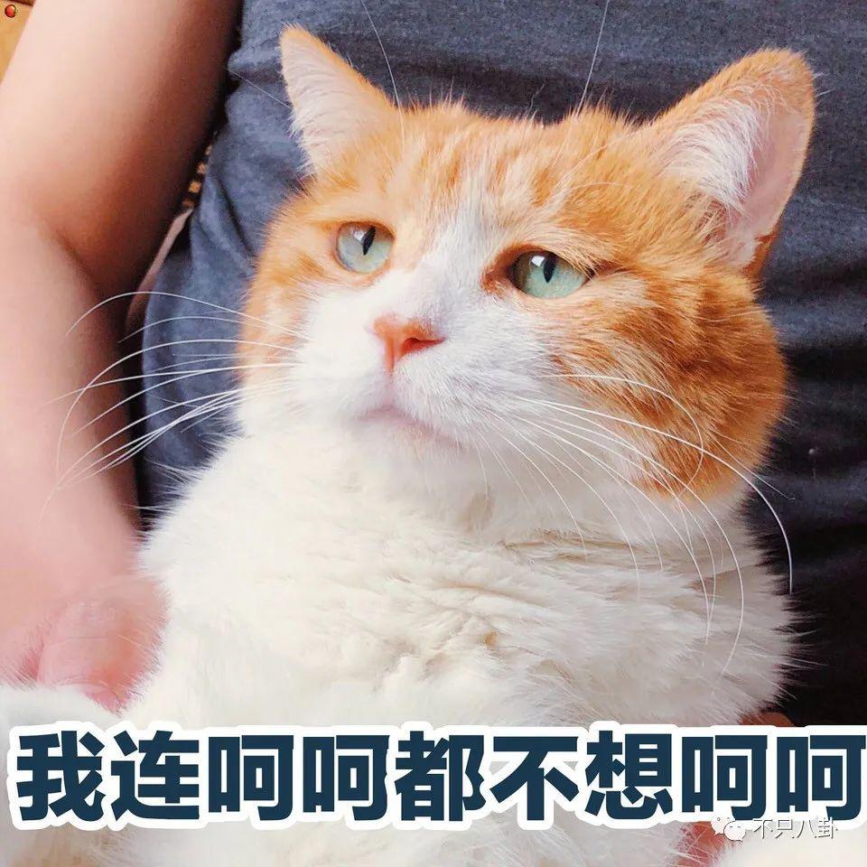 rOdaa8QVy4Qi3qPV.jpg