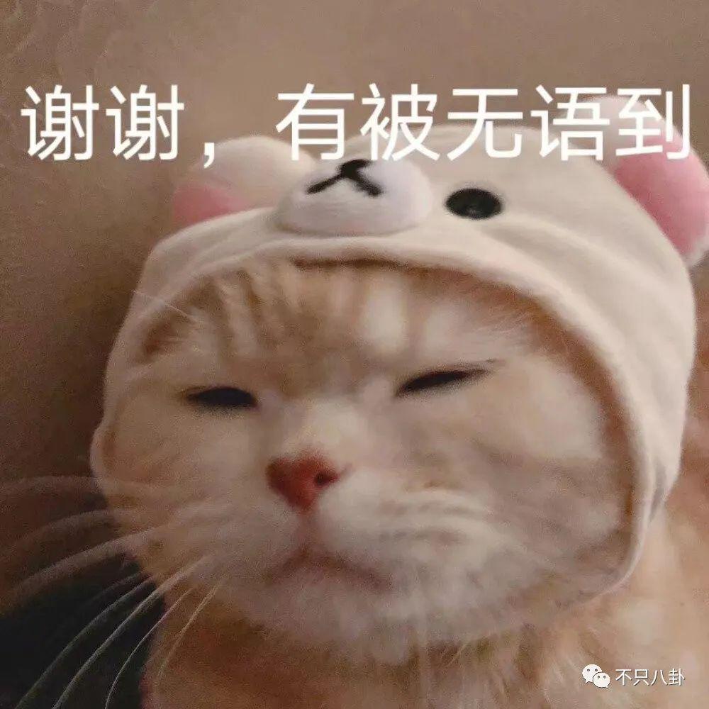 A919zz4ZHJ5vV52c.jpg
