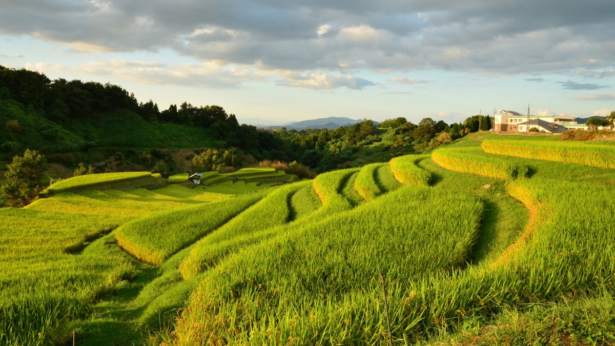 风景如画，优美风景图片 106.jpg