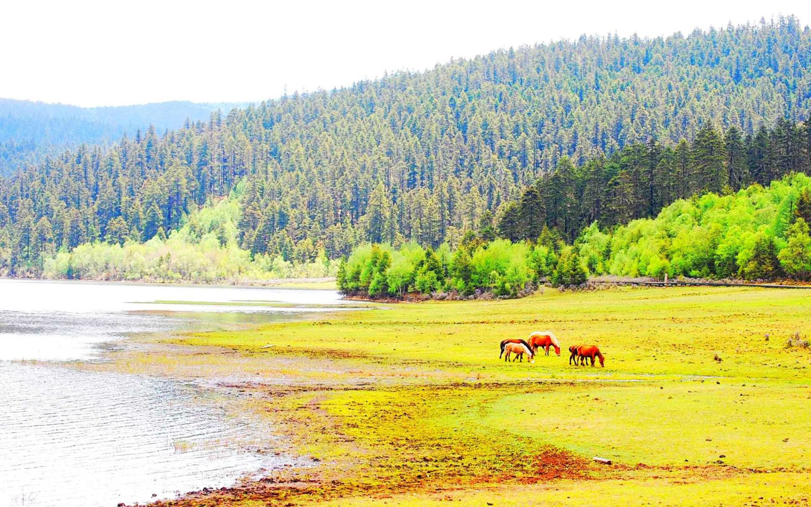 风景如画，优美风景图片 122.jpg