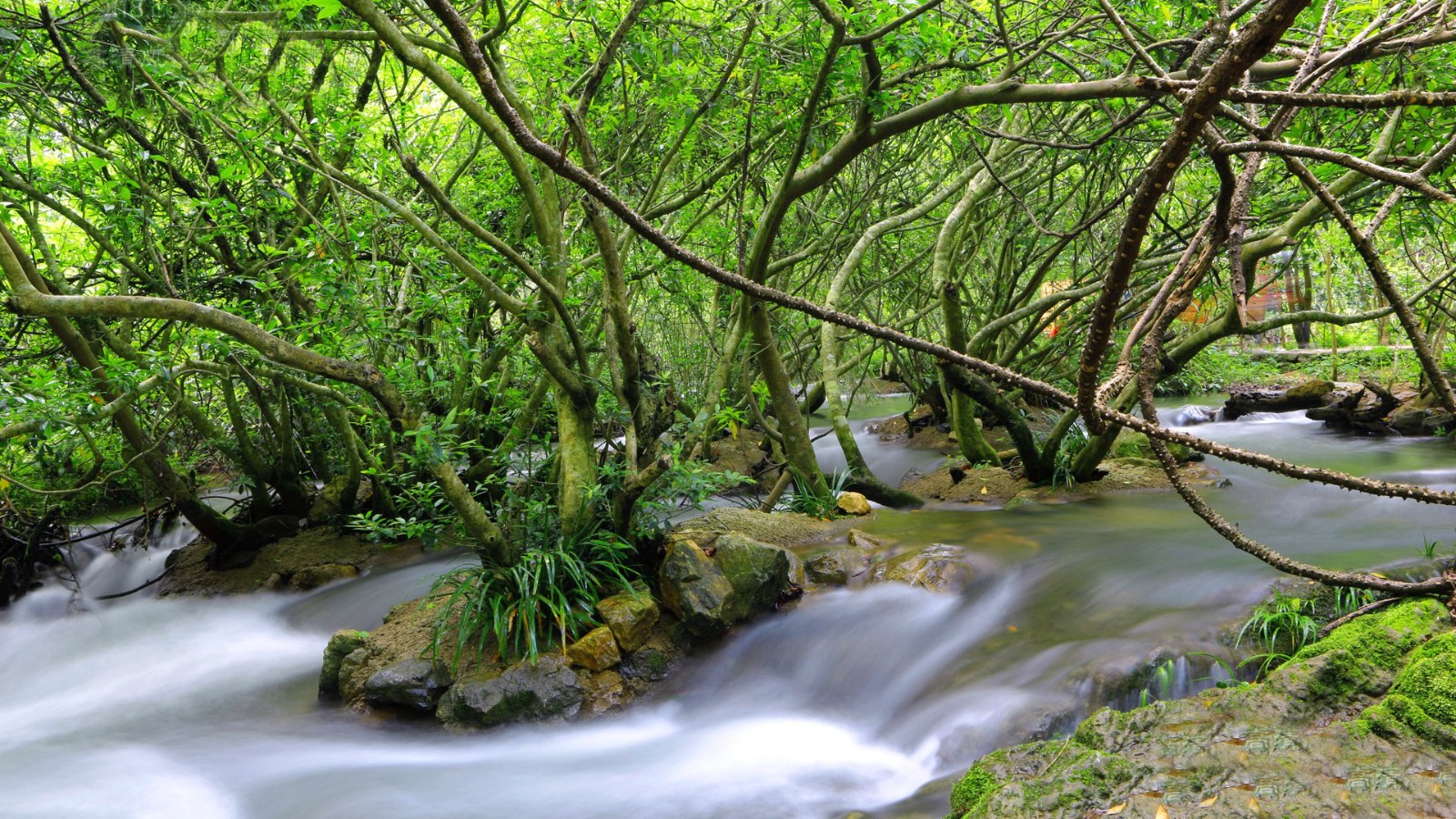 风景如画，优美风景图片 169.jpg