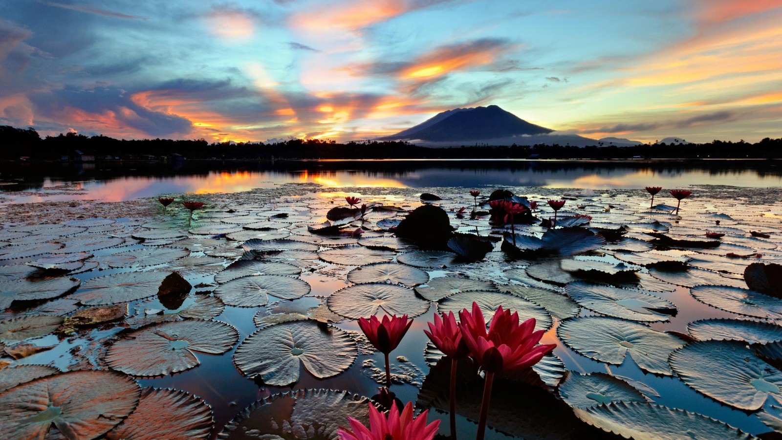 风景如画，优美风景图片 208.jpg