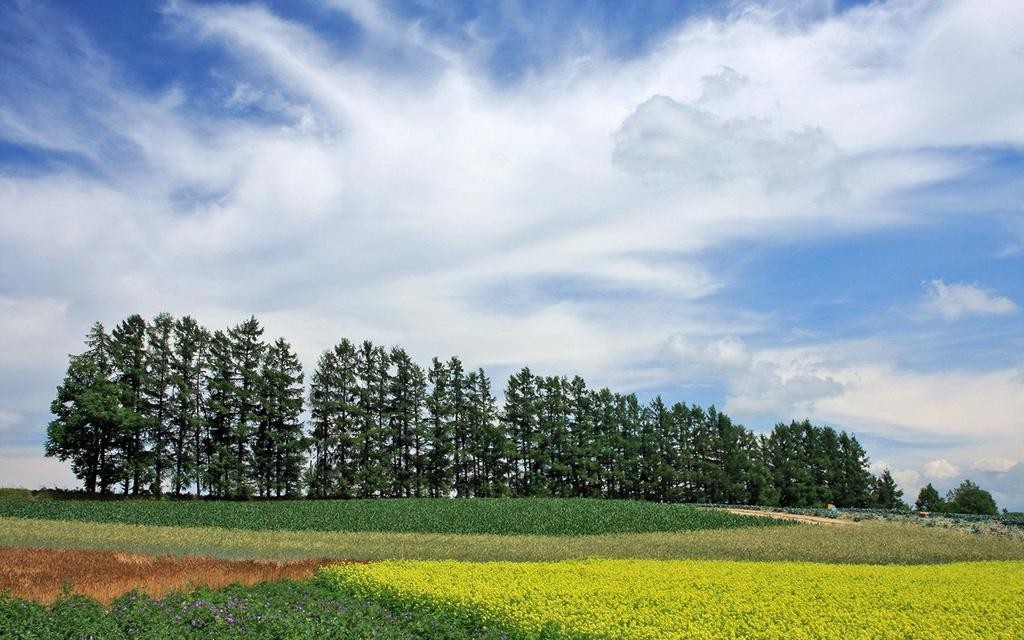 风景如画，优美风景图片 261.jpg