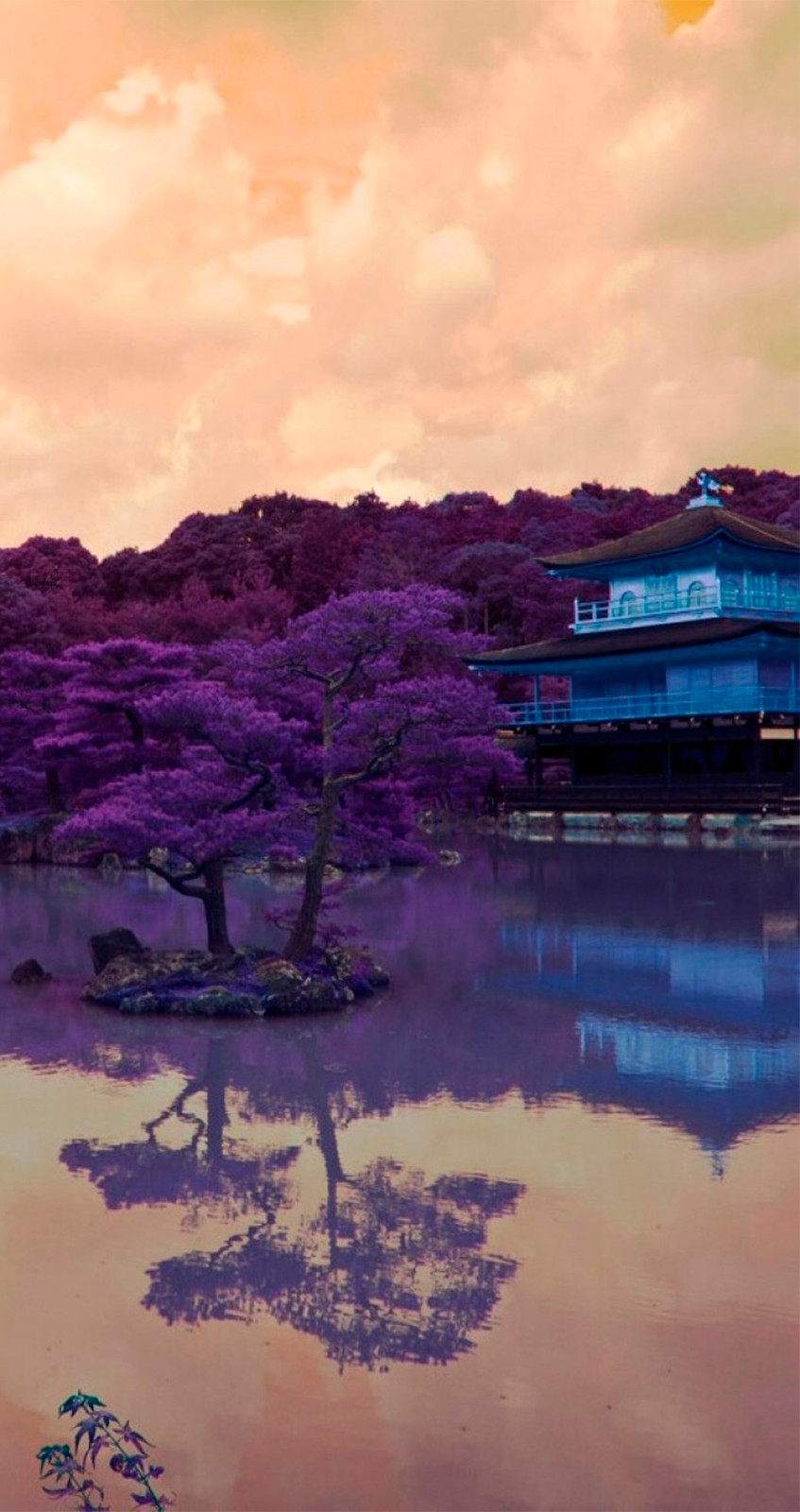 风景如画，优美风景图片 373.jpg