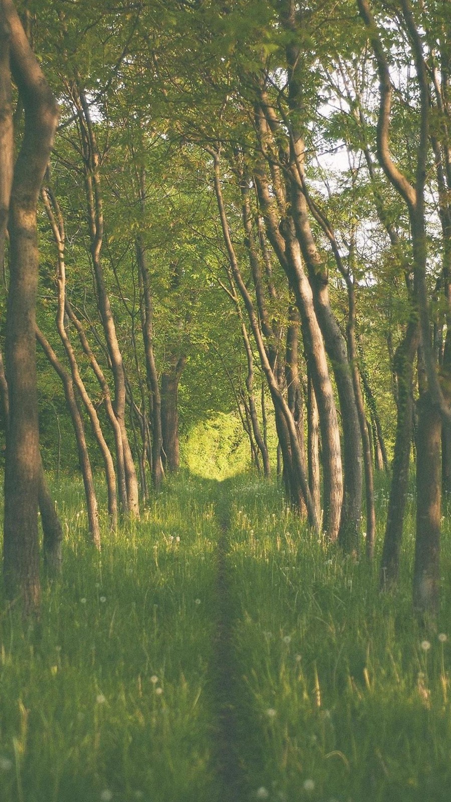 风景如画，优美风景图片 379.jpg