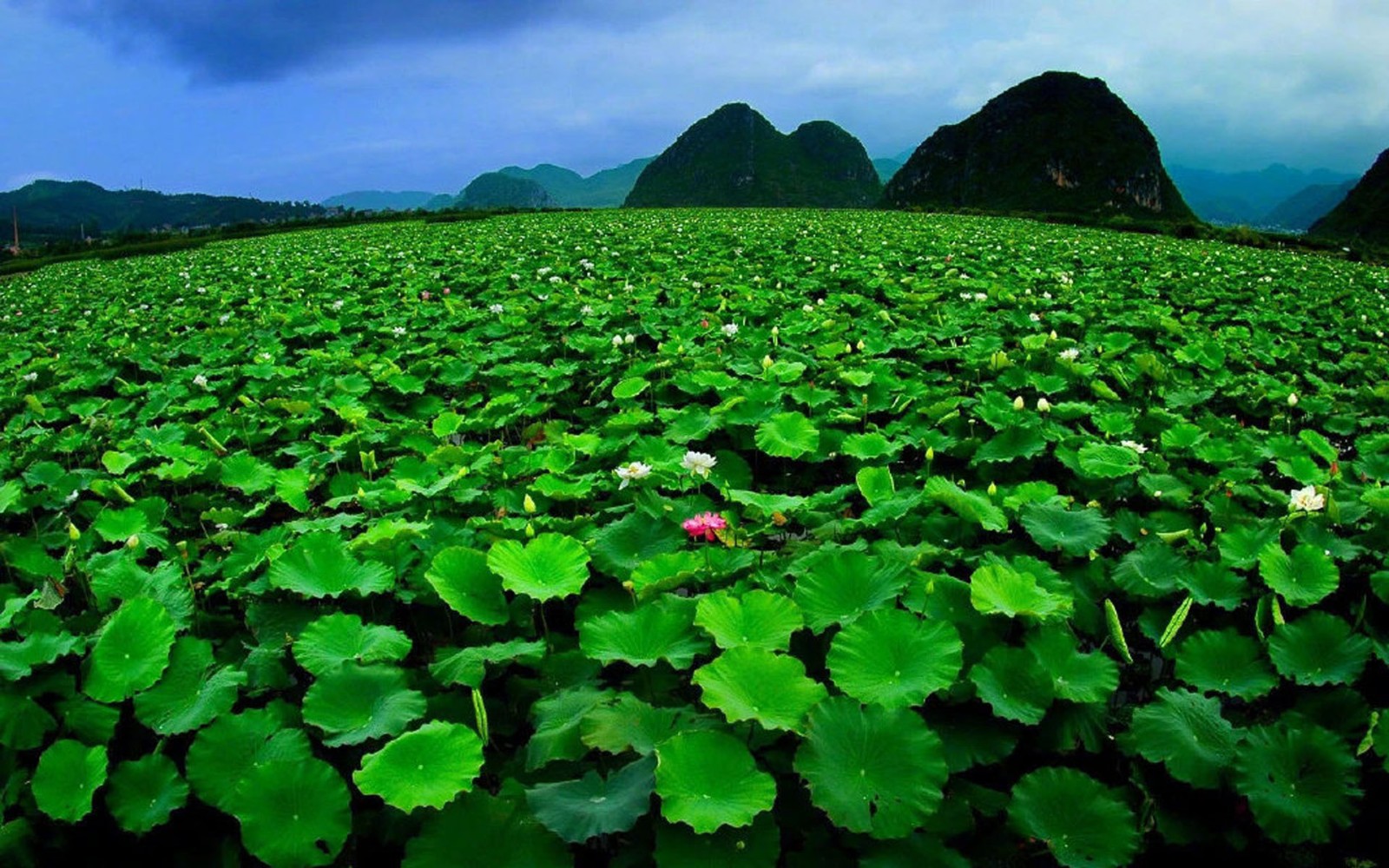 风景如画，优美风景图片 391.jpg