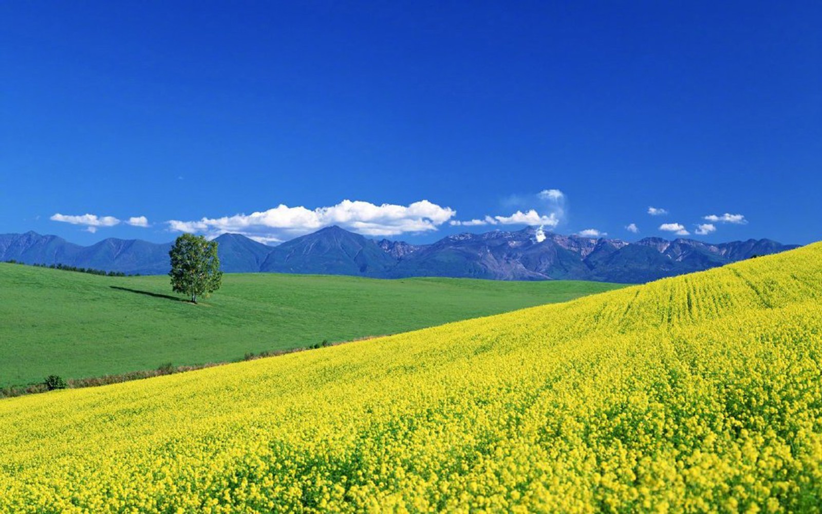 风景如画，优美风景图片 469.jpg