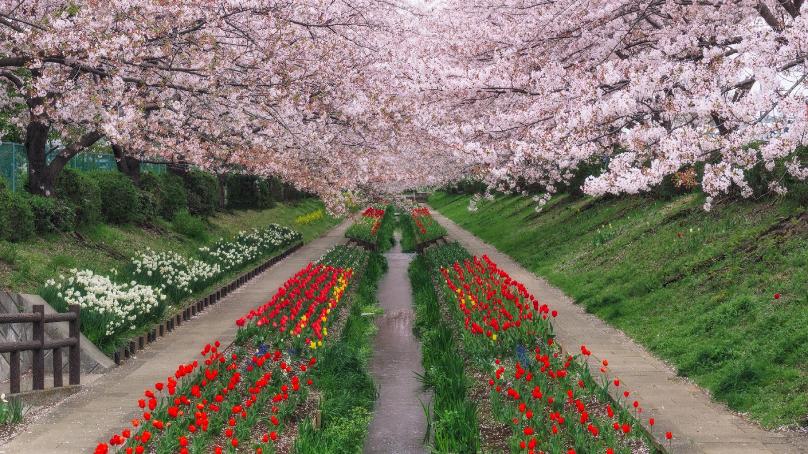 风景如画，优美风景图片 476.jpg