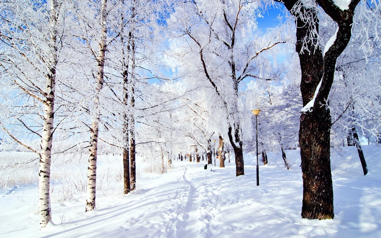 风景如画，优美风景图片 533.jpg