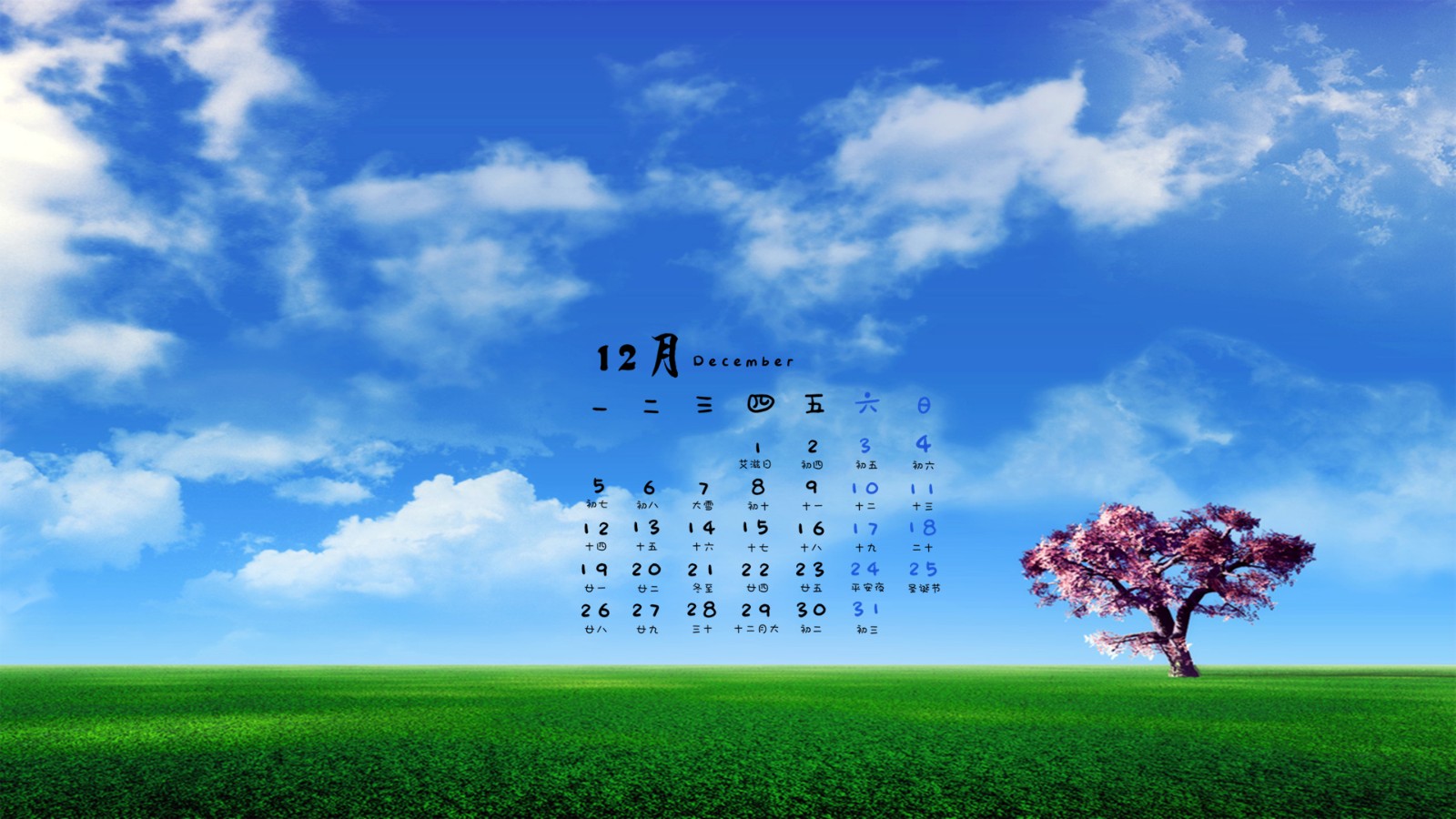 精美绝伦，高清桌面手机壁纸 519.jpg
