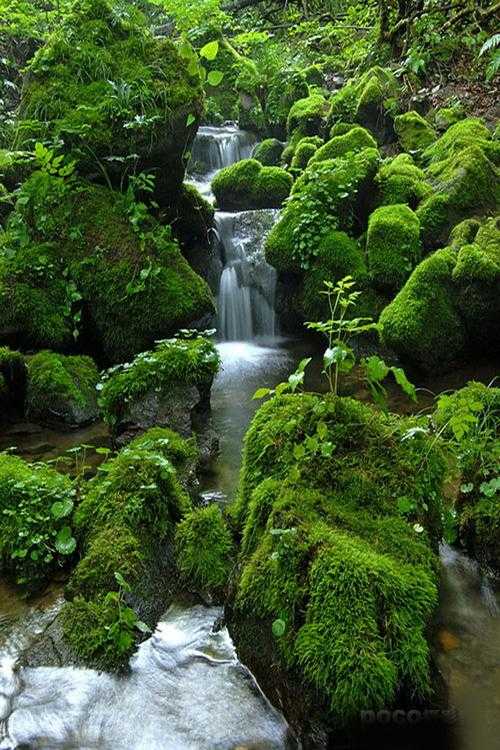 山水风景 (1).jpg