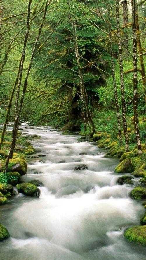 山水风景 (44).jpg