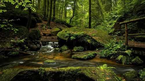 山水风景 (228).jpg