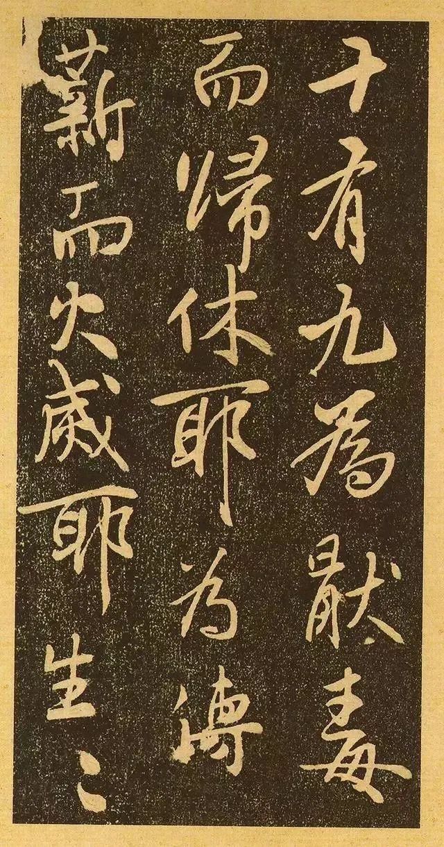 13eddbcbe2e3165fa4270be555a8bb1a.jpg