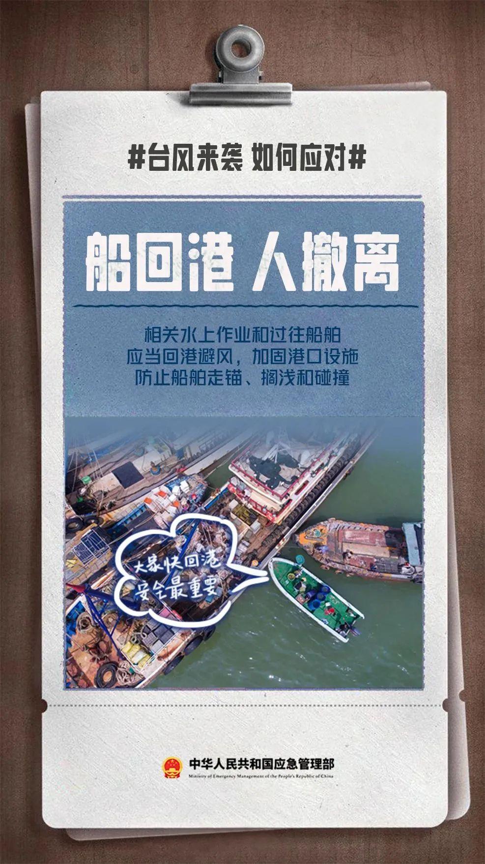 wTY1cV55e153xX17.jpg