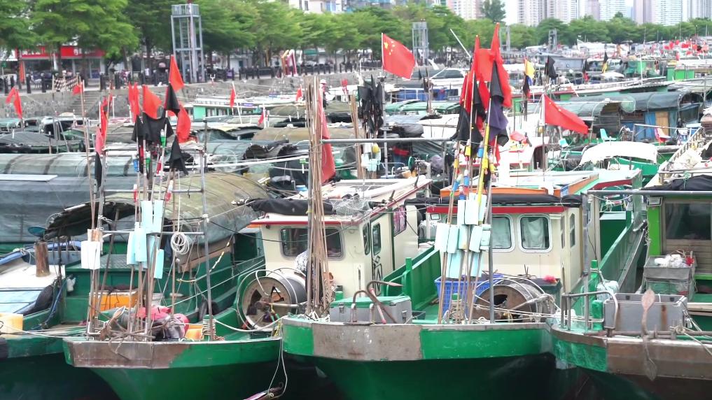 qZ3dL3IjG7E7G7P7.jpg