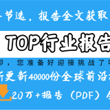 2025中国AI商业落地应用价值研究报告
