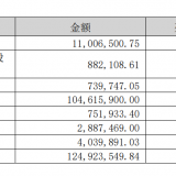 民航半年报 | 华夏航空：国际客运、货运全线停摆 现金流改善依赖专项补贴 ...
