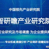 中国线上零售行业市场全景调研及投资价值评估研究报告 ...