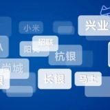 透视23家消费金融公司半年报：增长放缓，头尾马太效应加剧 ...